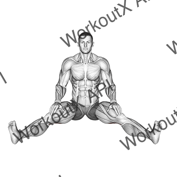 Seated Wide Angle Pose Sequence animated GIF