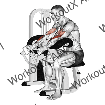 Lever Hammer Grip Preacher Curl animated GIF