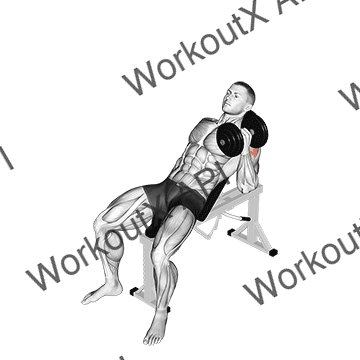 Dumbbell Incline One Arm Hammer Press animated GIF