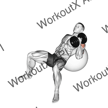 Dumbbell Incline One Arm Hammer Press On Exercise Ball animated GIF