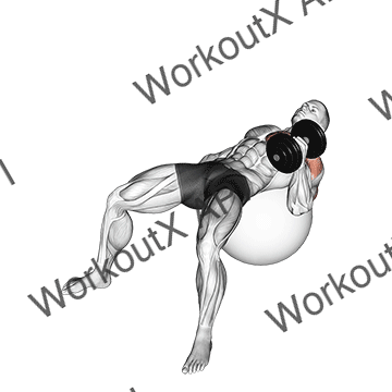 Dumbbell One Arm Hammer Press On Exercise Ball animated GIF