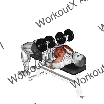 Dumbbell Reverse Bench Press animated GIF