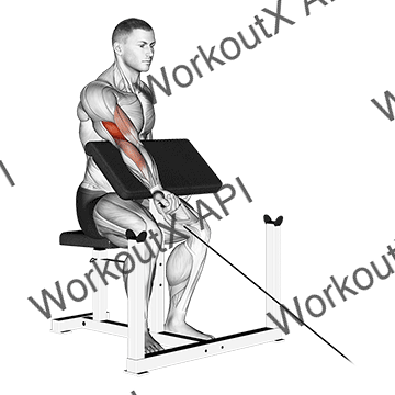 Cable One Arm Preacher Curl animated GIF