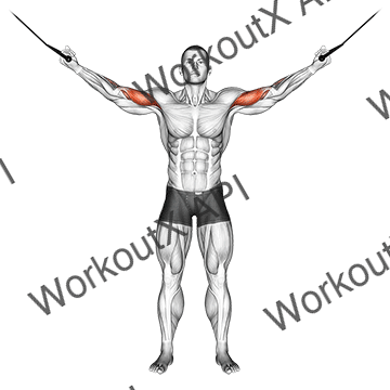 Cable Overhead Curl animated GIF