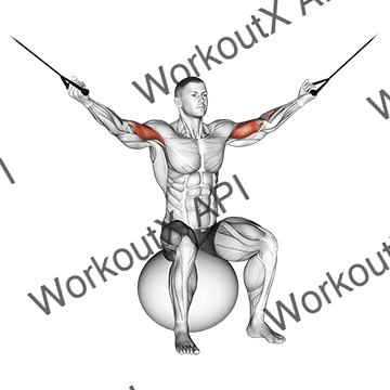 Cable Overhead Curl On Exercise Ball animated GIF