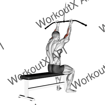 Cable Pulldown Bicep Curl animated GIF