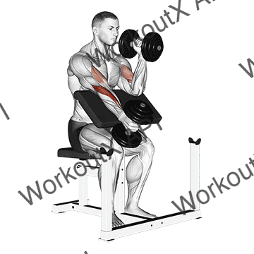 Dumbbell Alternate Hammer Preacher Curl animated GIF