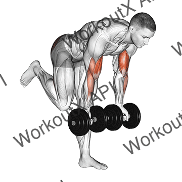 Dumbbell Bicep Curl With Stork Stance animated GIF