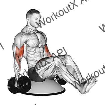 Dumbbell Biceps Curl V Sit On Bosu Ball animated GIF