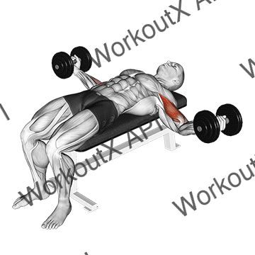 Dumbbell Lying Wide Curl animated GIF