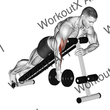 Dumbbell One Arm Prone Hammer Curl animated GIF