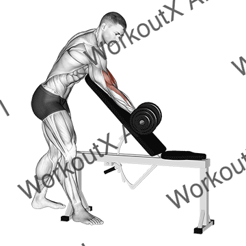 Dumbbell One Arm Zottman Preacher Curl animated GIF