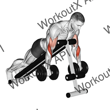 Dumbbell Reverse Spider Curl animated GIF