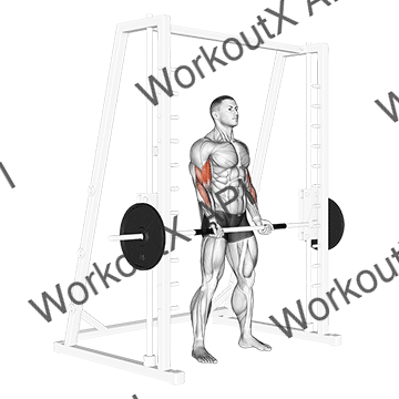 Smith Machine Bicep Curl animated GIF