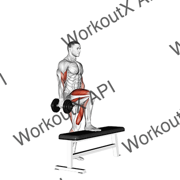 Dumbbell Step Up Single Leg Balance With Bicep Curl animated GIF