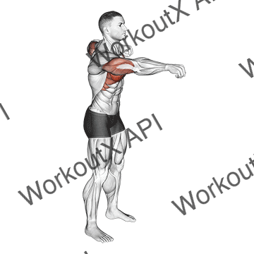 Push And Pull Bodyweight animated GIF