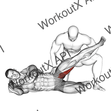 Assisted Side Lying Adductor Stretch animated GIF