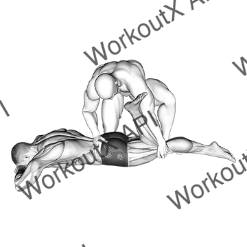 Assisted Prone Rectus Femoris Stretch animated GIF