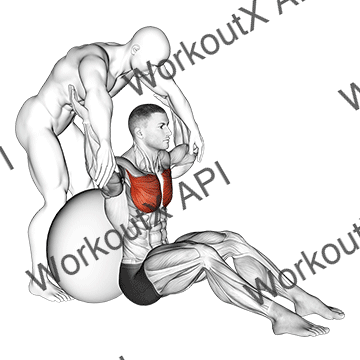 Assisted Seated Pectoralis Major Stretch With Stability Ball animated GIF
