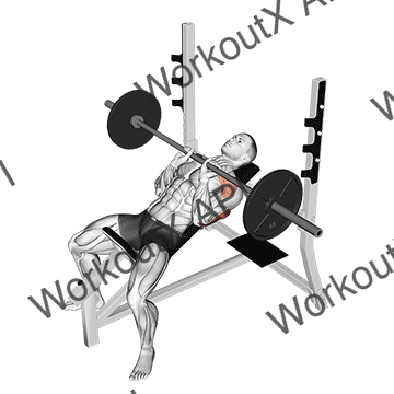 Barbell Incline Close Grip Bench Press animated GIF