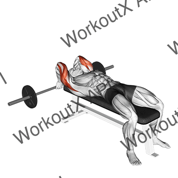 Barbell Lying Back Of The Head Tricep Extension animated GIF