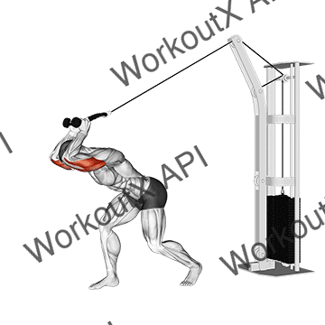 Cable High Pulley Overhead Tricep Extension animated GIF