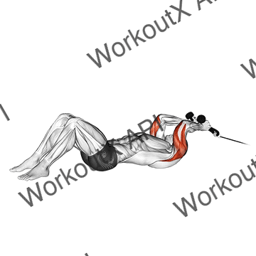 Cable Rope Lying On Floor Tricep Extension animated GIF