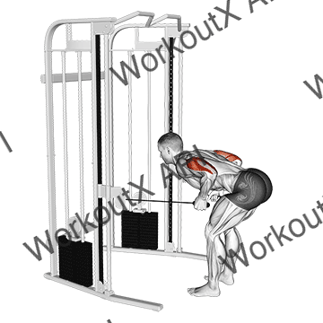 Cable Two Arm Tricep Kickback animated GIF