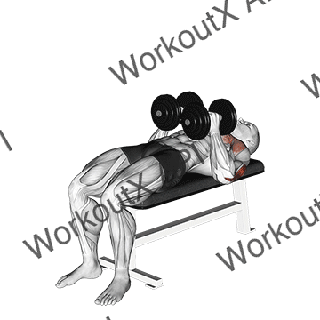Dumbbell Close Grip Press animated GIF