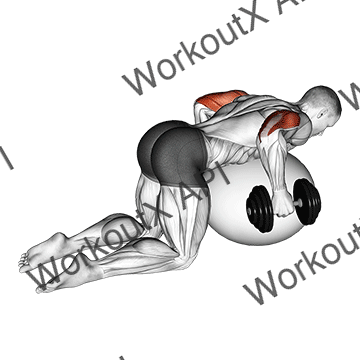 Dumbbell Kickbacks On Exercise Ball animated GIF