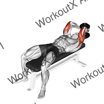 Dumbbell Lying Single Extension animated GIF