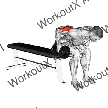 Dumbbell Seated Bent Over Triceps Extension animated GIF