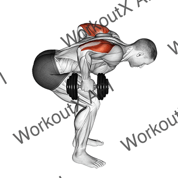 Dumbbell Standing Bent Over Two Arm Triceps Extension animated GIF