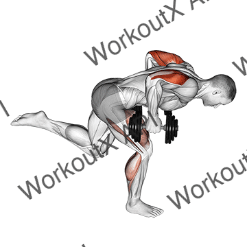 Dumbbell Tricep Kickback With Stork Stance animated GIF