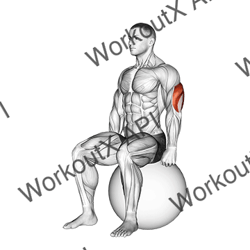 Exercise Ball Seated Triceps Stretch animated GIF