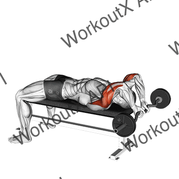 Ez Bar Lying Close Grip Triceps Extension Behind Head animated GIF