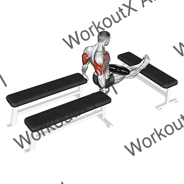 Weighted Three Bench Dips animated GIF