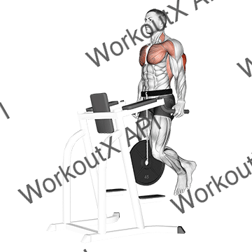 Weighted Tricep Dips animated GIF