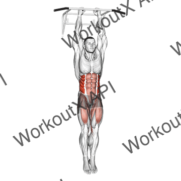 Hanging Oblique Knee Raise animated GIF