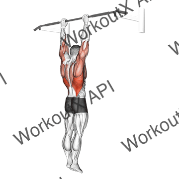 Shoulder Grip Pull-up animated GIF