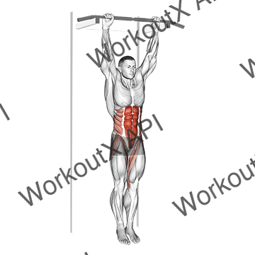 Hanging Leg Hip Raise animated GIF