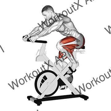 Stationary Bike Run V. 3