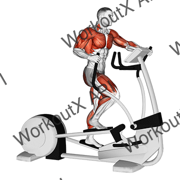 Walk Elliptical Cross Trainer