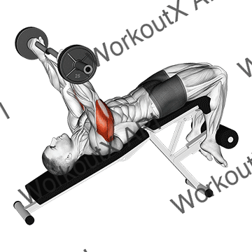 Ez Barbell Decline Triceps Extension animated GIF