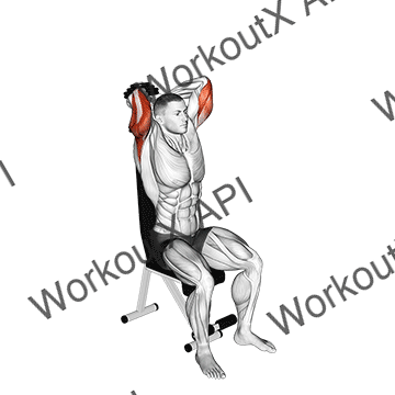 Dumbbell Seated Triceps Extension animated GIF