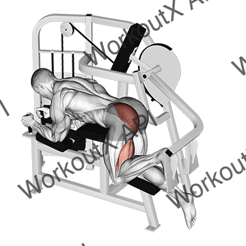 Lever Hip Extension V. 2 animated GIF