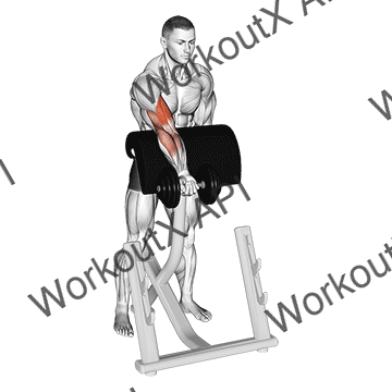 Dumbbell Standing Zottman Preacher Curl animated GIF