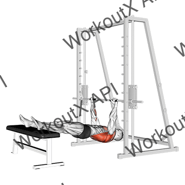 Inverted Row On Bench animated GIF