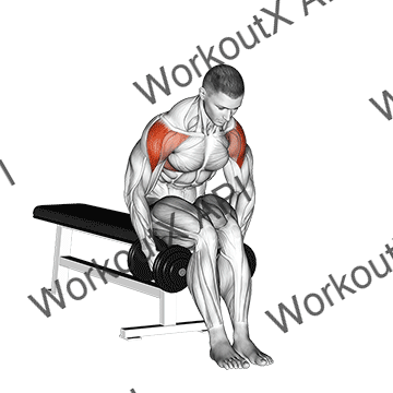Dumbbell Seated Bent Arm Lateral Raise animated GIF