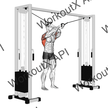 Cable Lat Pulldown Full Range Of Motion animated GIF